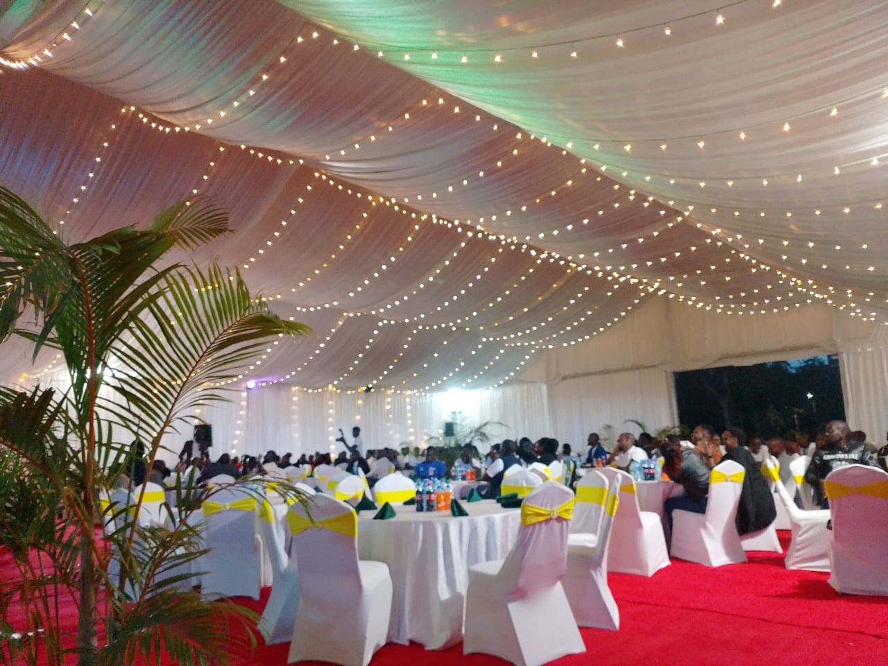 My Amazing Experience at ISO PHONES in Platinum Plaza