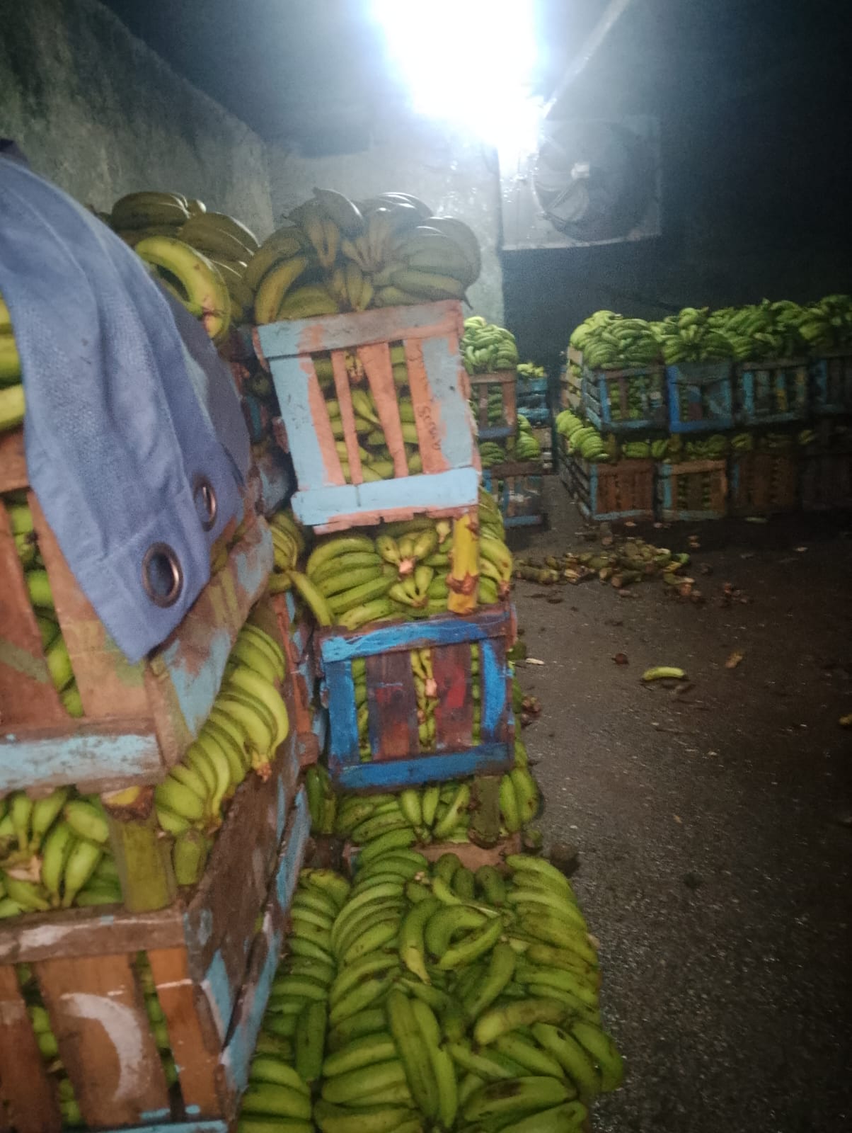 Transform Your Business with Freelancer: A Mombasa Success Story