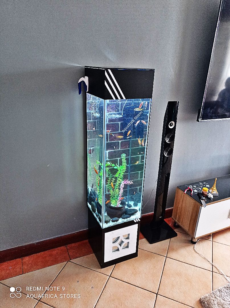 5Feet Tower Aquarium