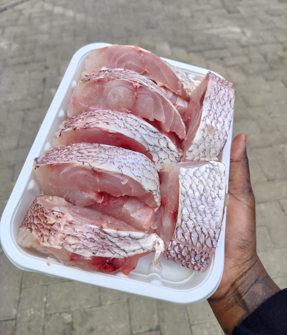 Koana Snapper Steaks