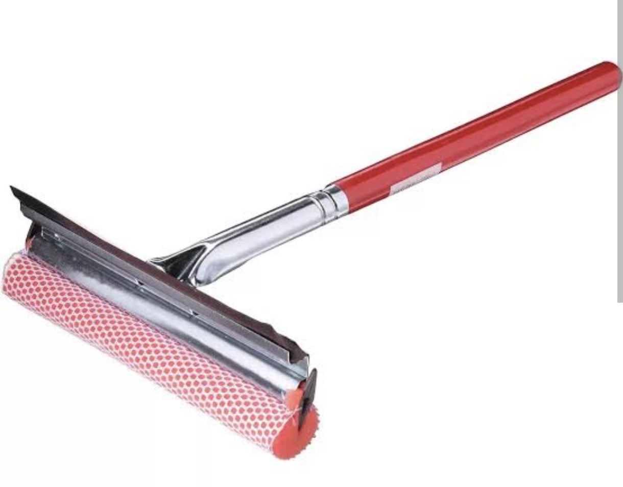 Auto Squeegee