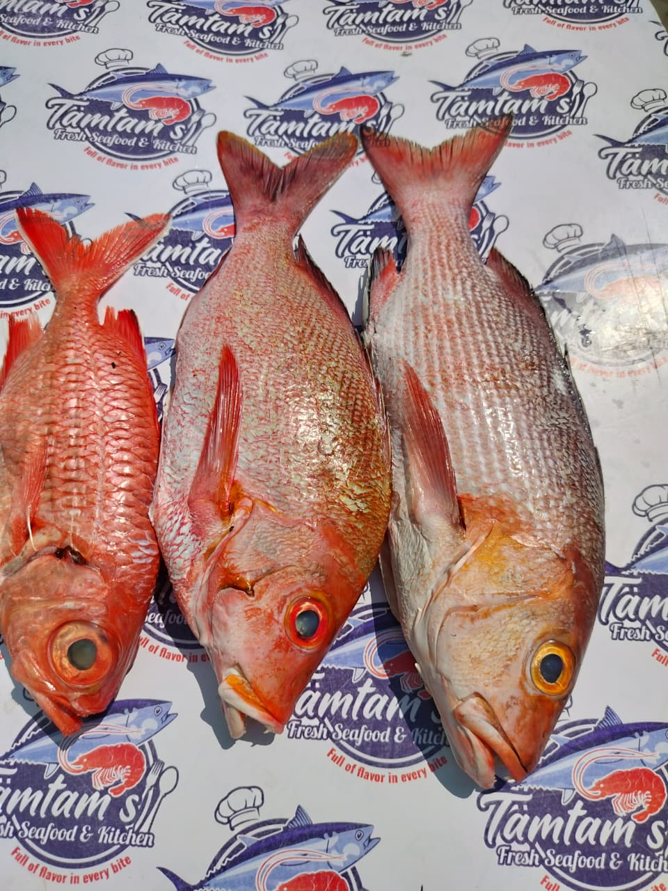 Whole Fish Red Snapper
