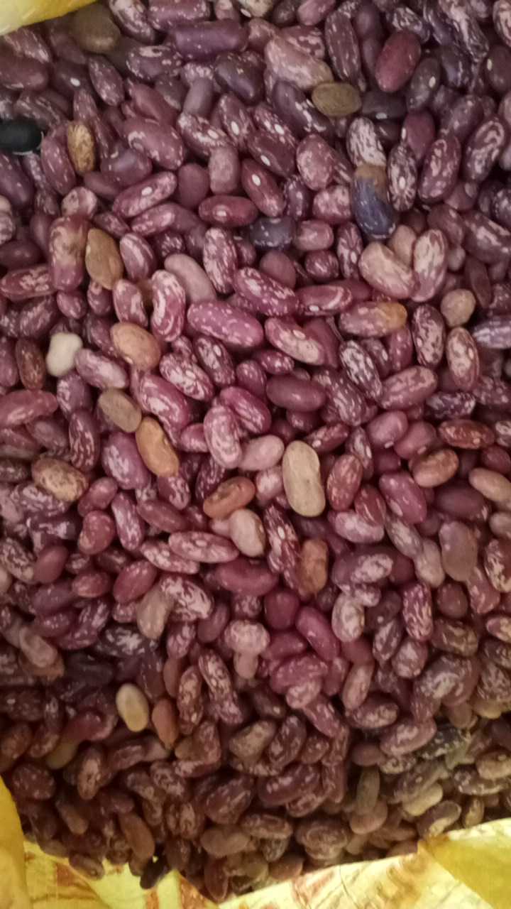 Nyayo beans