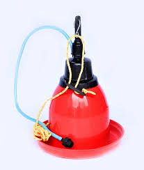 Automatic Drinker