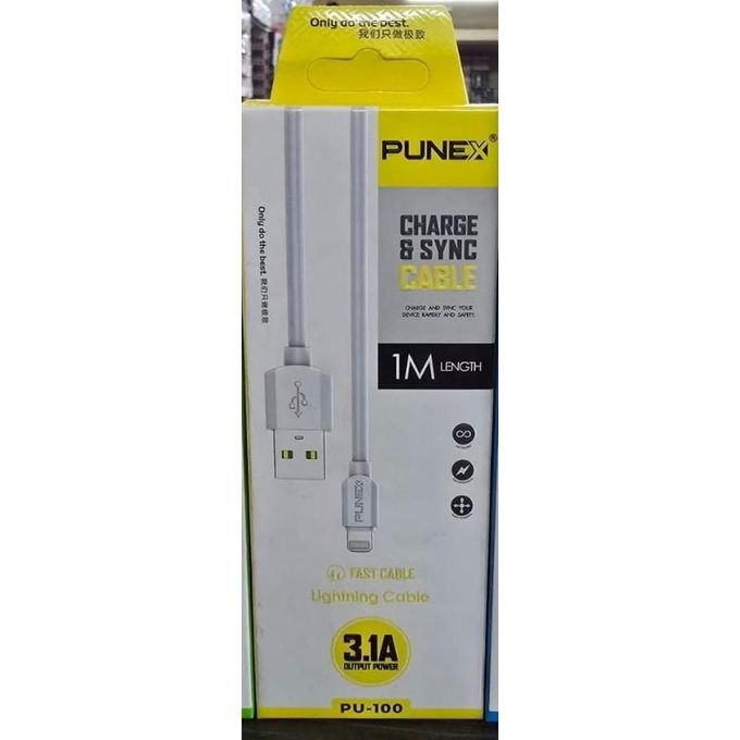 Punex 3.1A iPhone cable