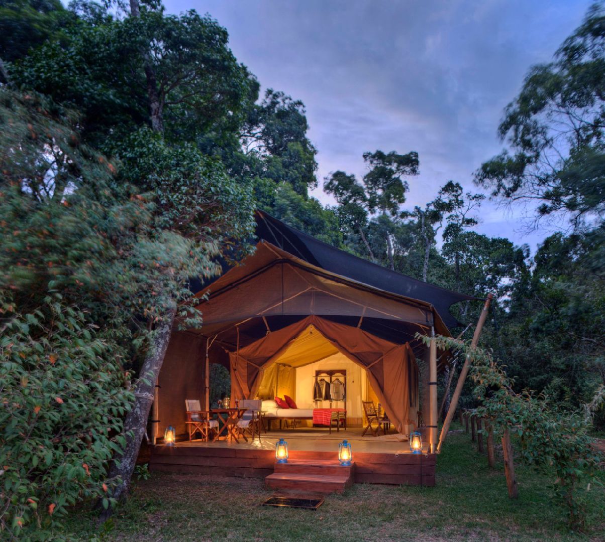 Hand picked hotels for an authentic safari experience