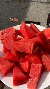Melon Product