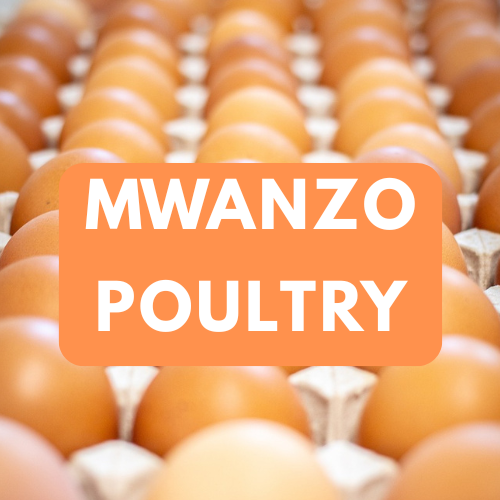 Mwanzo poultry